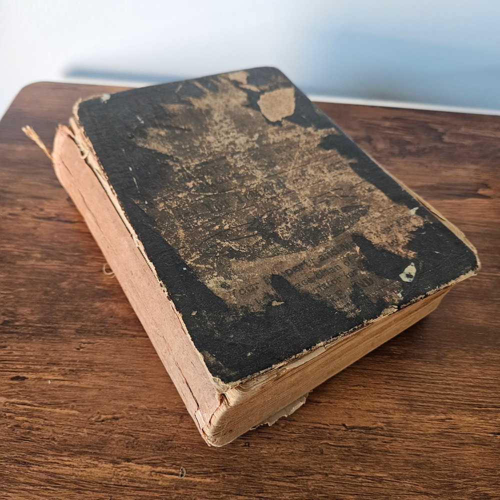 Antique Dr Chase's Third Last Family Physician Book MD Medical Household 1887